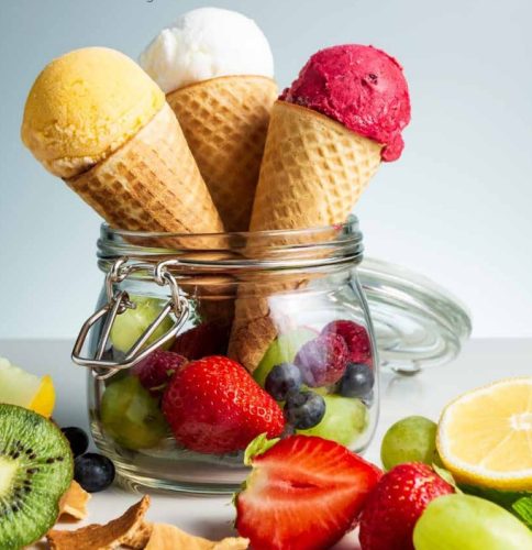 Vegan Base Universal 